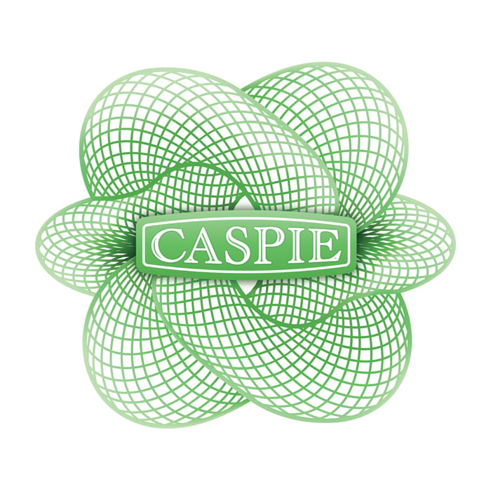 CASPIE SERVIZI + CASPIE ETS