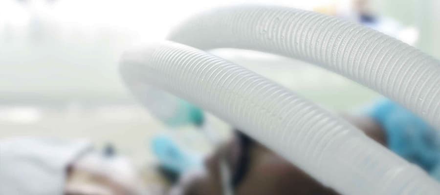 Assistenza stati vegetativi persistenti